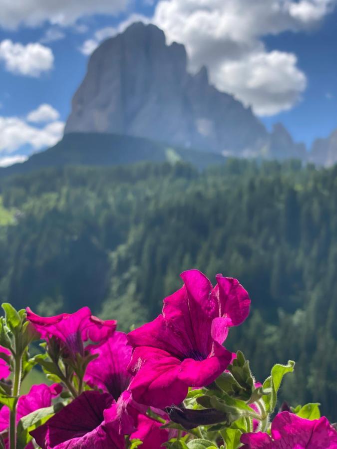 Dorfhotel Beludei Santa Cristina Val Gardena المظهر الخارجي الصورة