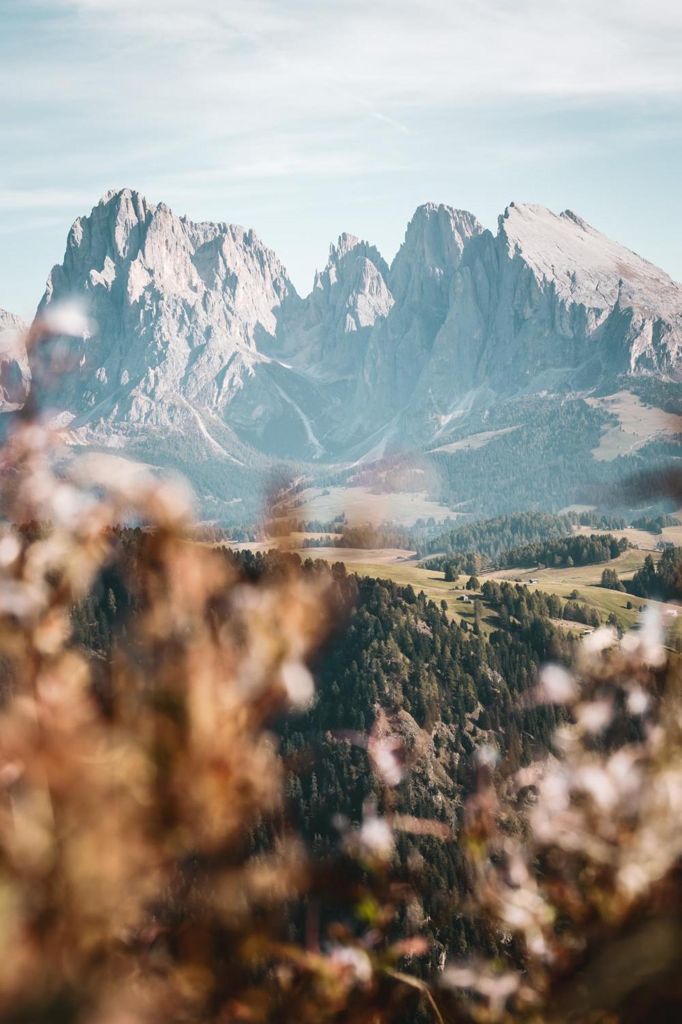 Dorfhotel Beludei Santa Cristina Val Gardena المظهر الخارجي الصورة